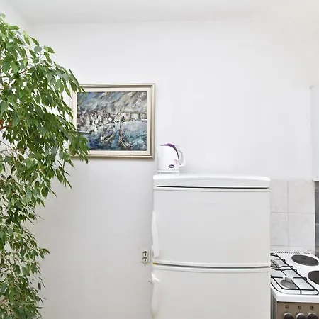 Apartment Borka